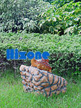 HIZONE ݵ Z-2011SPLC,L ݵ Z-2011SPLC Z-2011SPLC,HIZONE(L)-----c(din)Ŵ